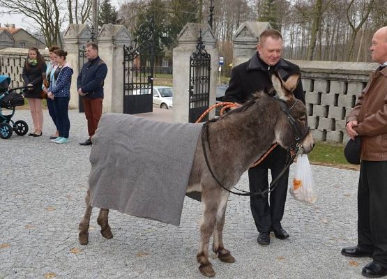 Grafika 1: Palmowa Niedziela 29.03.2015