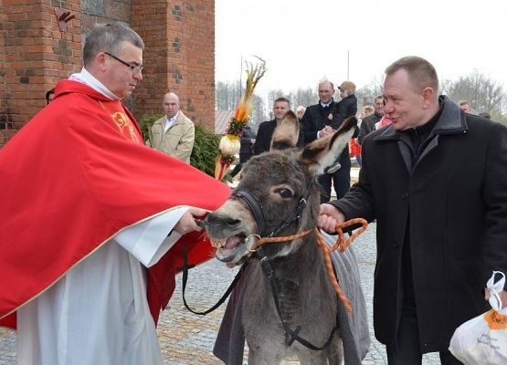 Grafika 3: Palmowa Niedziela 29.03.2015