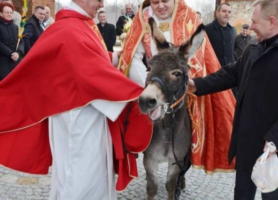 Grafika 4: Palmowa Niedziela 29.03.2015