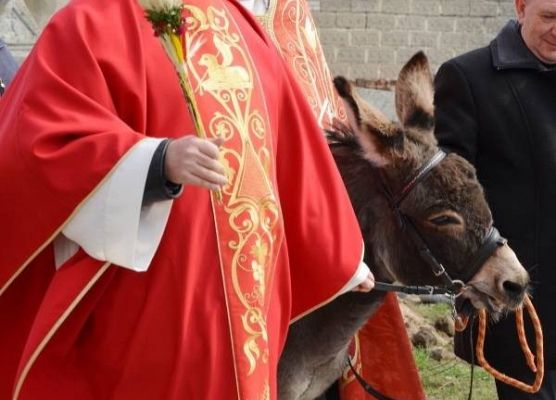 Grafika 11: Palmowa Niedziela 29.03.2015