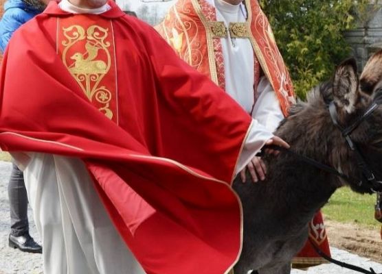 Grafika 15: Palmowa Niedziela 29.03.2015