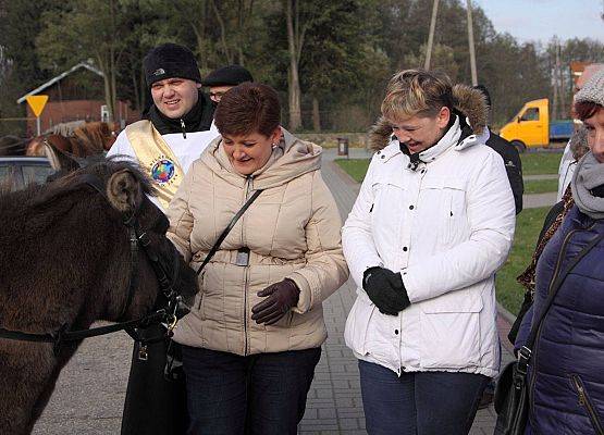 Grafika 7: Hubertus 25 października 2014