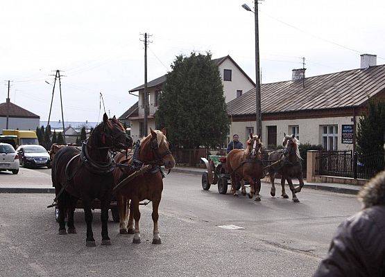 Grafika 13: Hubertus 25 października 2014