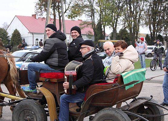 Grafika 29: Hubertus 25 października 2014