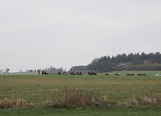 Grafika 31: Hubertus 25 października 2014