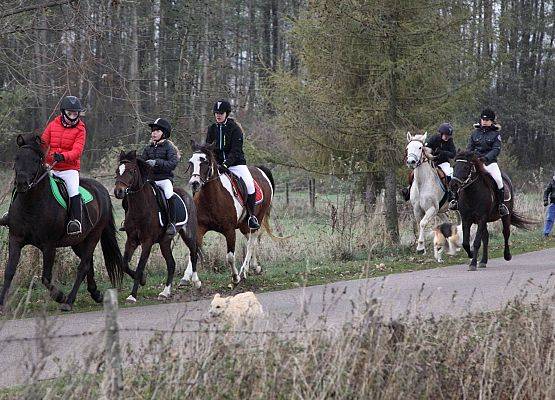 Grafika 34: Hubertus 25 października 2014