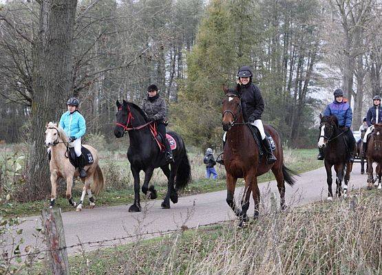 Grafika 38: Hubertus 25 października 2014