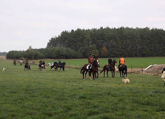 Grafika 41: Hubertus 25 października 2014