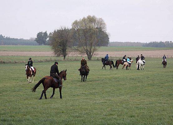 Grafika 43: Hubertus 25 października 2014