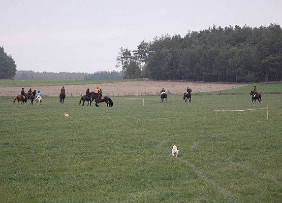 Grafika 60: Hubertus 25 października 2014