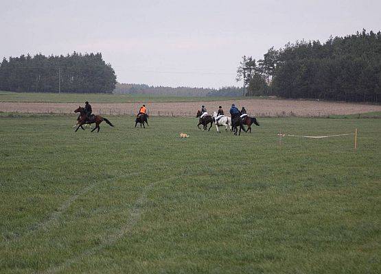 Grafika 62: Hubertus 25 października 2014