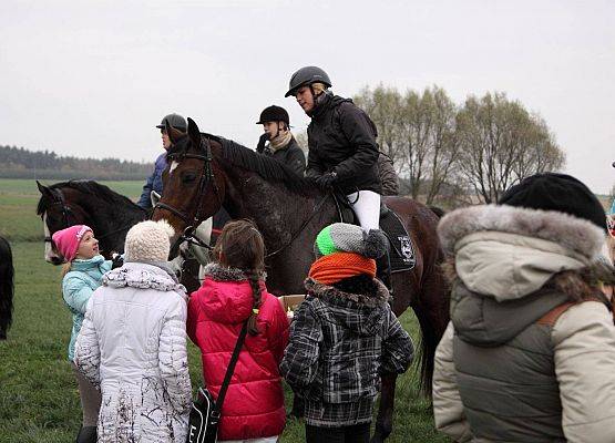 Grafika 70: Hubertus 25 października 2014