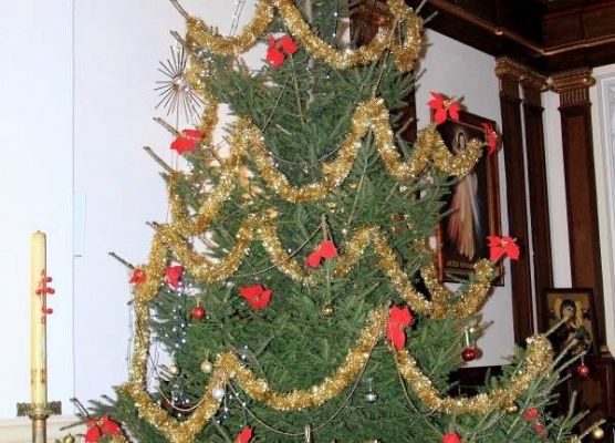 Grafika 4: Jasełka przed Pasterką 2014